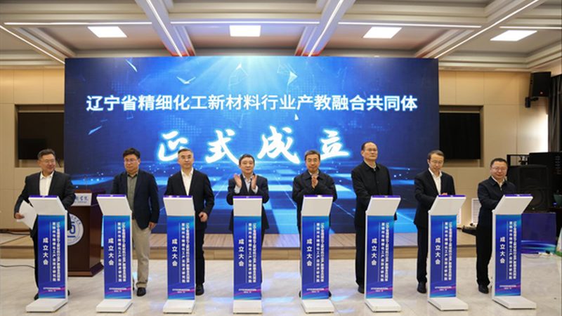 阴离子表面活性剂：揭秘其在清洁领域的奥秘与应用